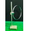Test Loop